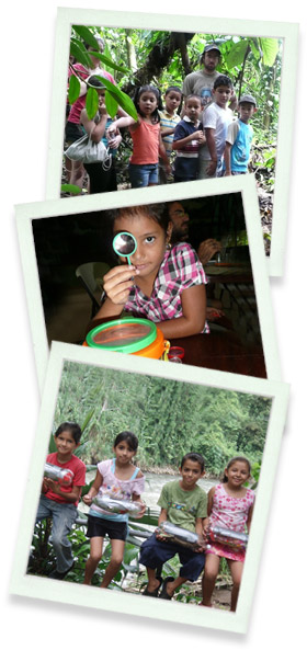 Selva Verde Lodge & Rainforest Reserve