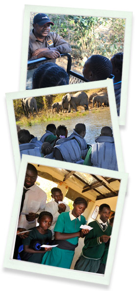 Chiawa Camp & Old Mondoro