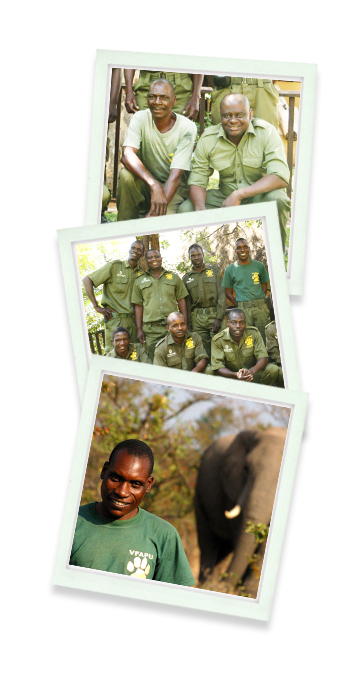 Victoria Falls Safari Lodge