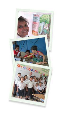CRS Tours